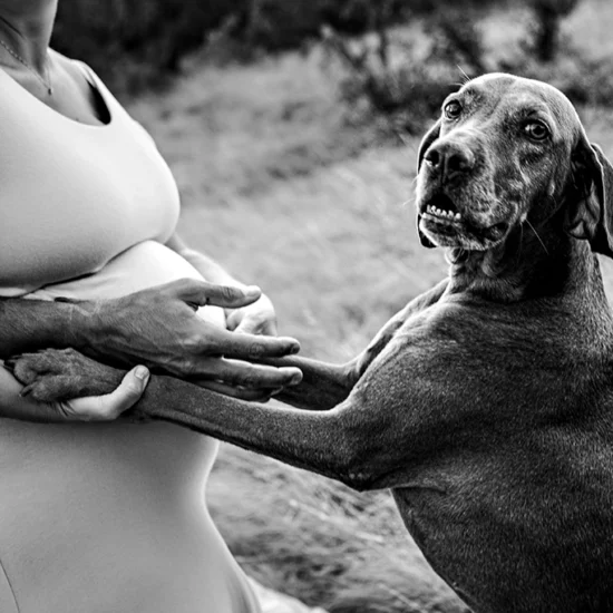 Foto in bianco e nero fuori studio di maternità di una donna incinta mentre si tiene la pancia insieme ad un cane. Fotografia in bianco e nero di una donna incinta con cane Trieste